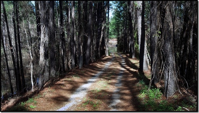 slideshow
